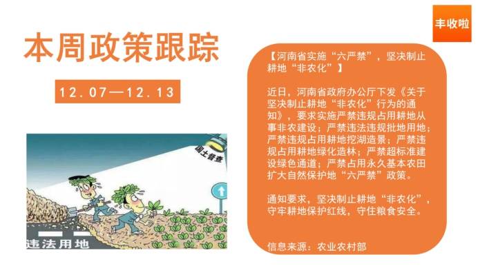 最新三農政策資訊解讀與動態更新