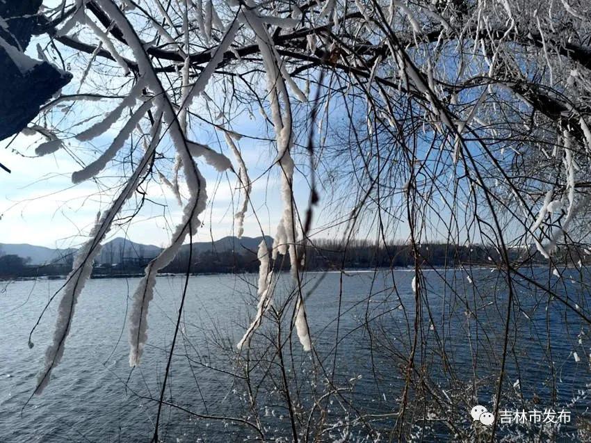 天堂資源最新版,探索日常趣事中的溫馨點滴