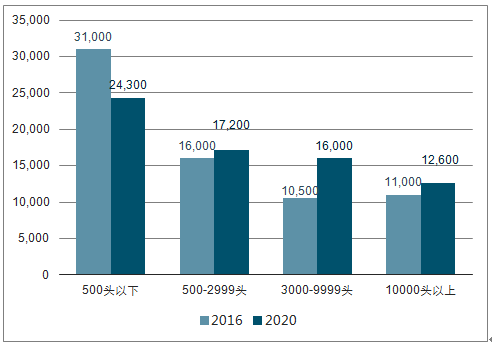 2025年生豬市場價格的動態預測與分析