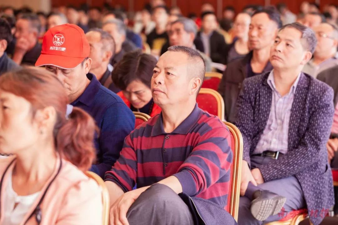 王雪新動態,時代浪潮中的新星風采