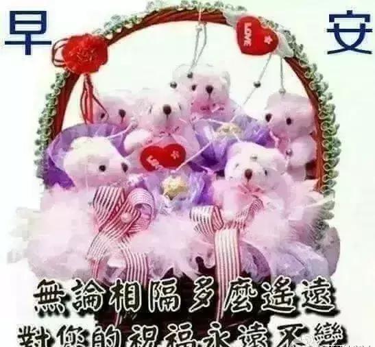 最新祝福遍,愿美好與你同在