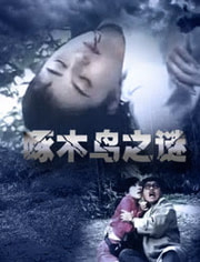 啄木鳥電影在線,勵志大片展現(xiàn)人生風(fēng)采