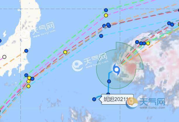 臺風妮妲逆風翻盤的勵志故事,最新動態與自信成就感的展現