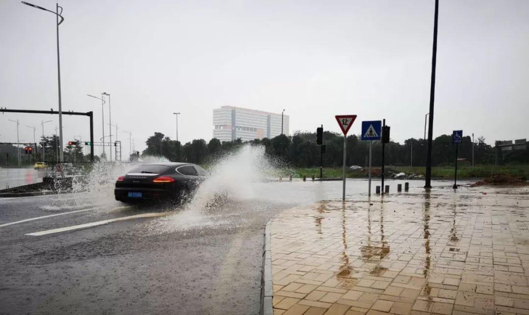 佛山最新司機職位招聘,啟程探索自然美景,尋覓內心平和之旅