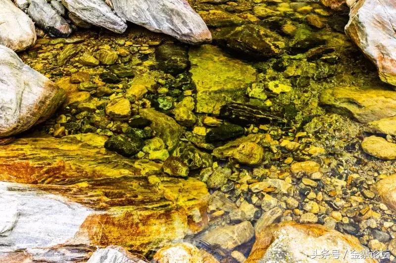 金寨縣千坪最新動(dòng)態(tài),自然美景探索與內(nèi)心平靜之旅