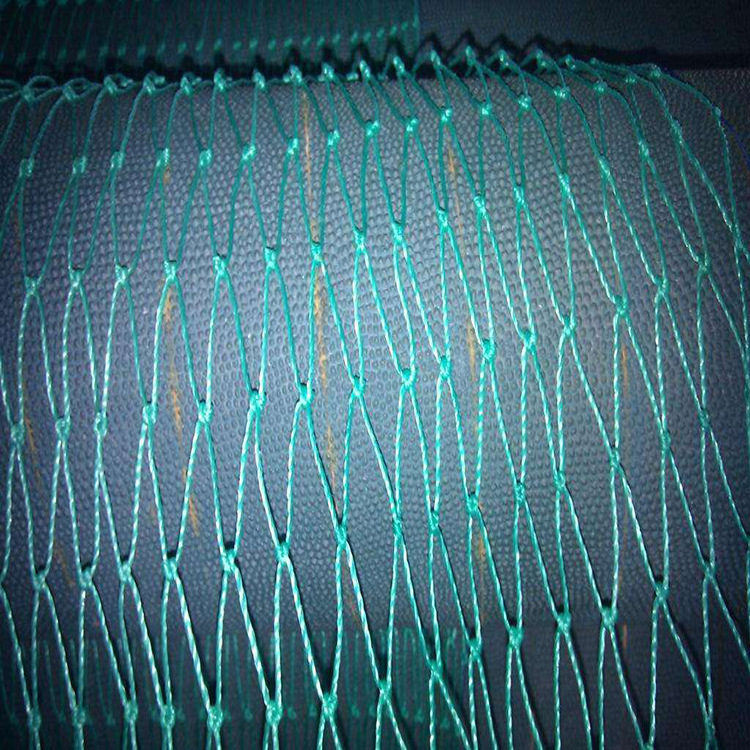 從零開始制作應用最新網子,制作與應用指南