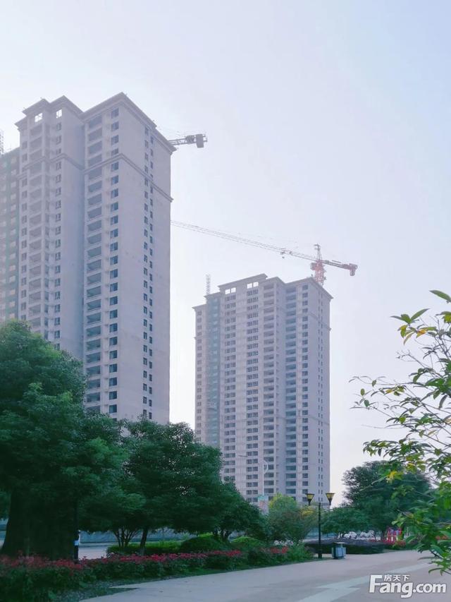 云夢全洲桃源最新動態(tài),蛻變之地,學(xué)習(xí)鑄就自信與輝煌之路