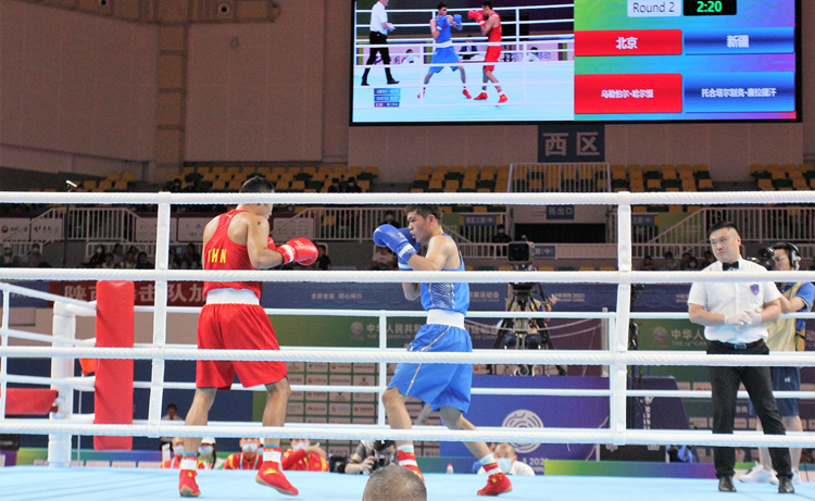 科技重塑熱血戰場,2025拳擊比賽視頻盛宴,前所未有的拳擊體驗