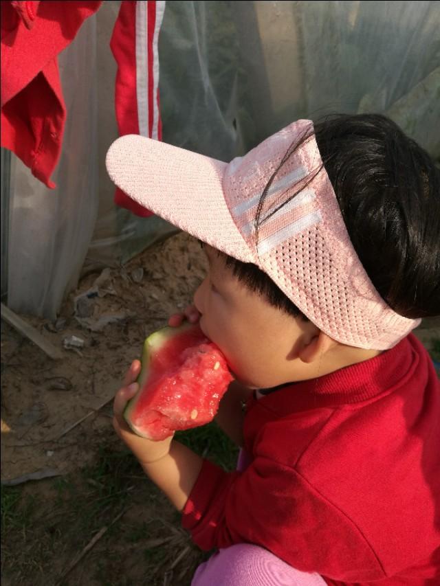 濰坊西瓜價格行情詳解及最新獲取方法指南