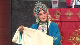 曲劇張曉英全新專輯,獲取與欣賞曲劇藝術的指南