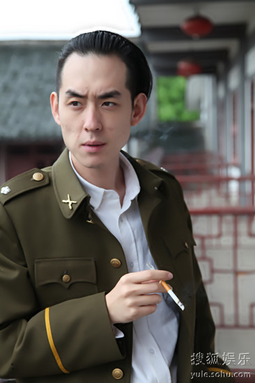 劉歡電視劇的影響力探究，影視界的璀璨之星