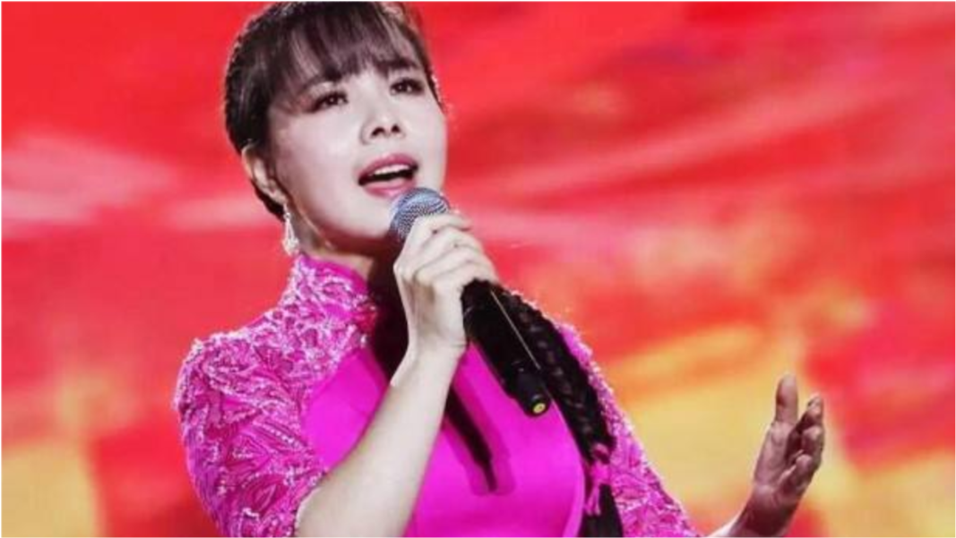 王二妮最新歌曲發(fā)布,聆聽最新音樂風(fēng)潮!