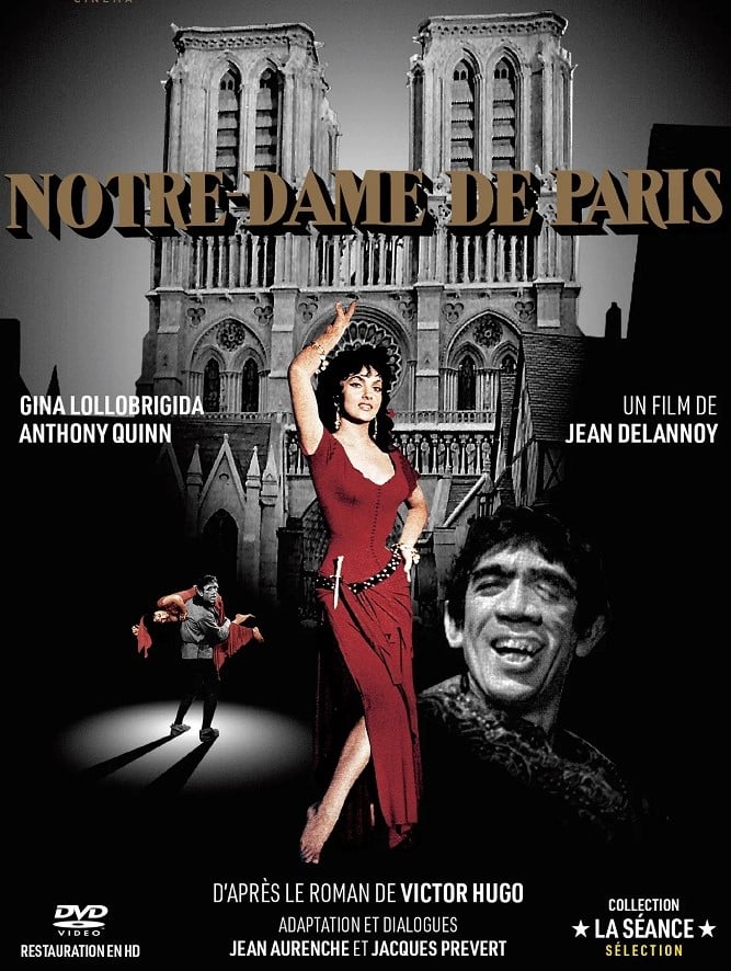 巴黎圣母院,高科技革新之旅與未來(lái)生活的無(wú)限魅力體驗(yàn)