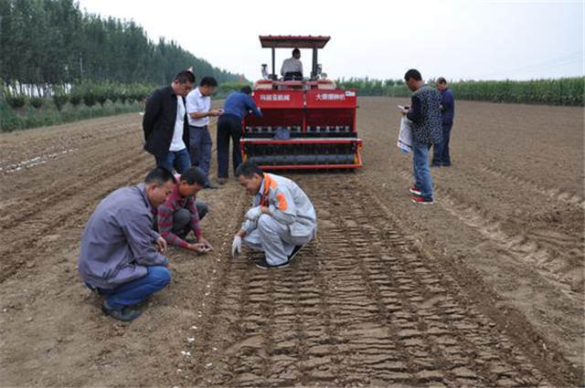 最新大蒜播種機技術革新演示,實際應用與個人見解分享