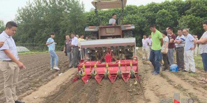 最新大蒜播種機技術革新演示,實際應用與個人見解分享