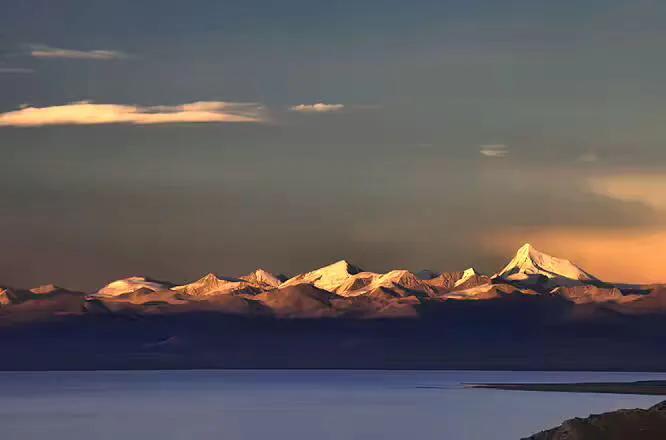 豐潤生物上市倒計時,深度分析與觀點闡述