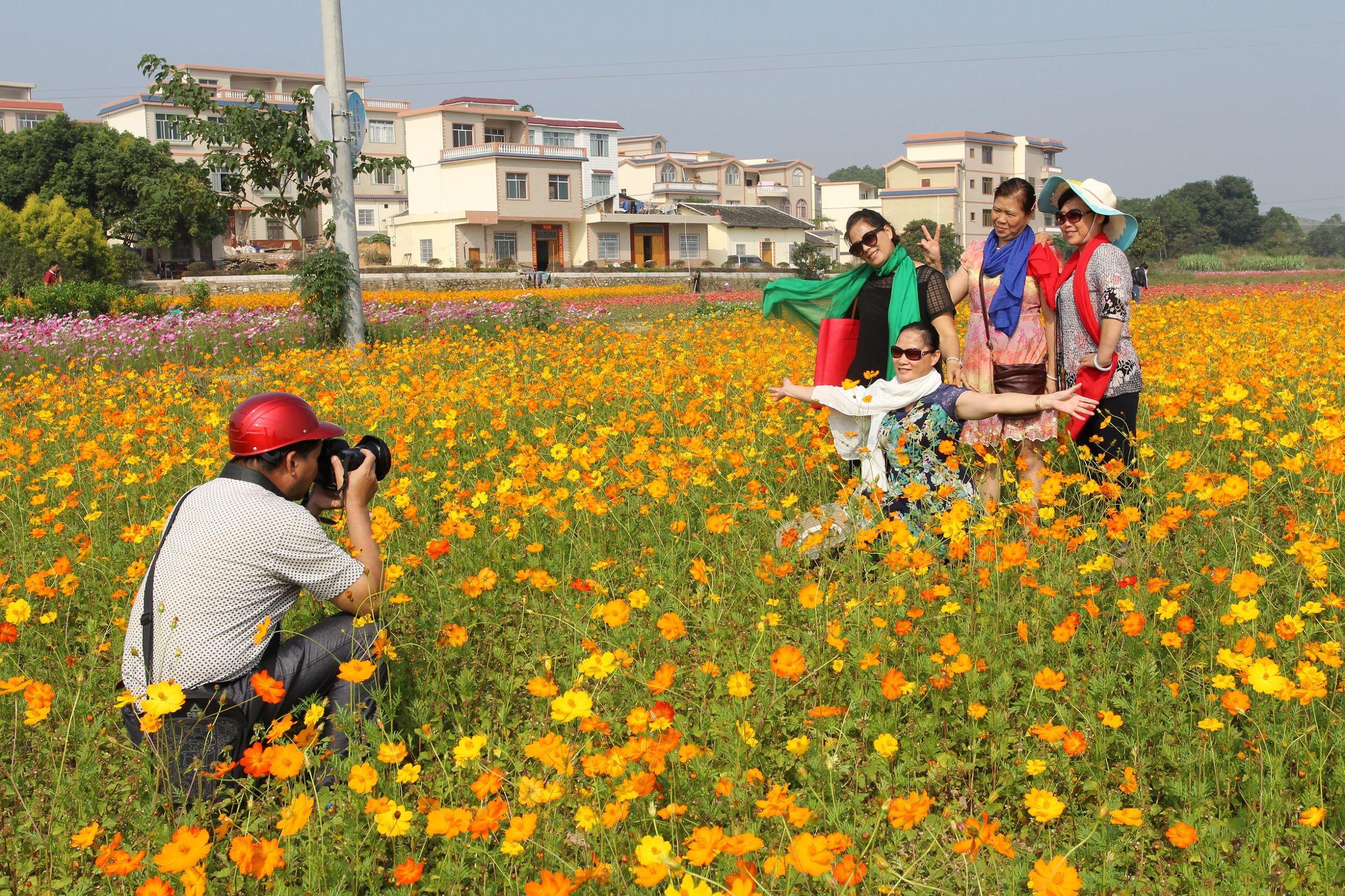 豐潤生物上市倒計時,深度分析與觀點闡述