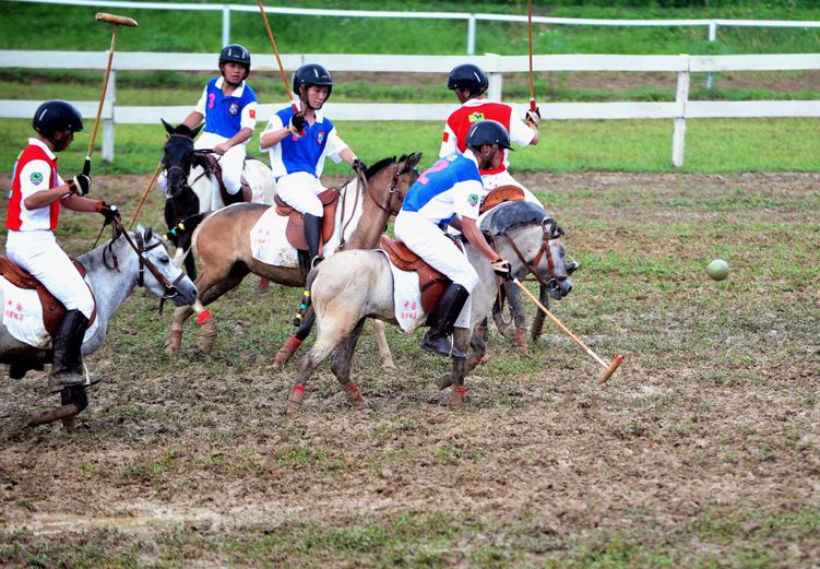 馬球比賽,友誼的較量與陪伴的溫暖時光