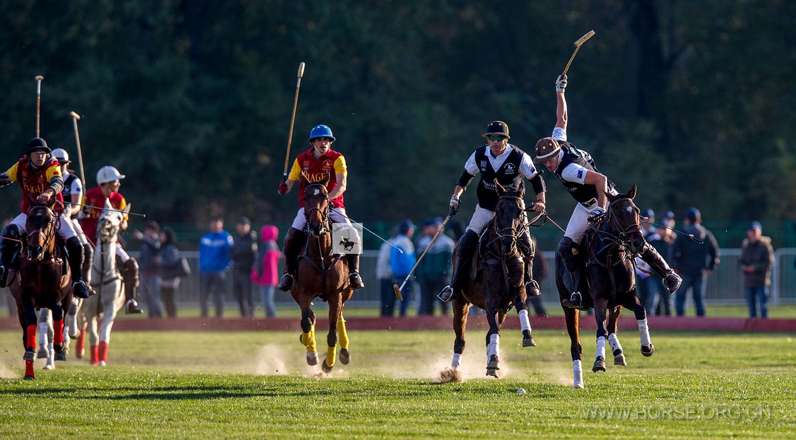 馬球比賽,友誼的較量與陪伴的溫暖時光