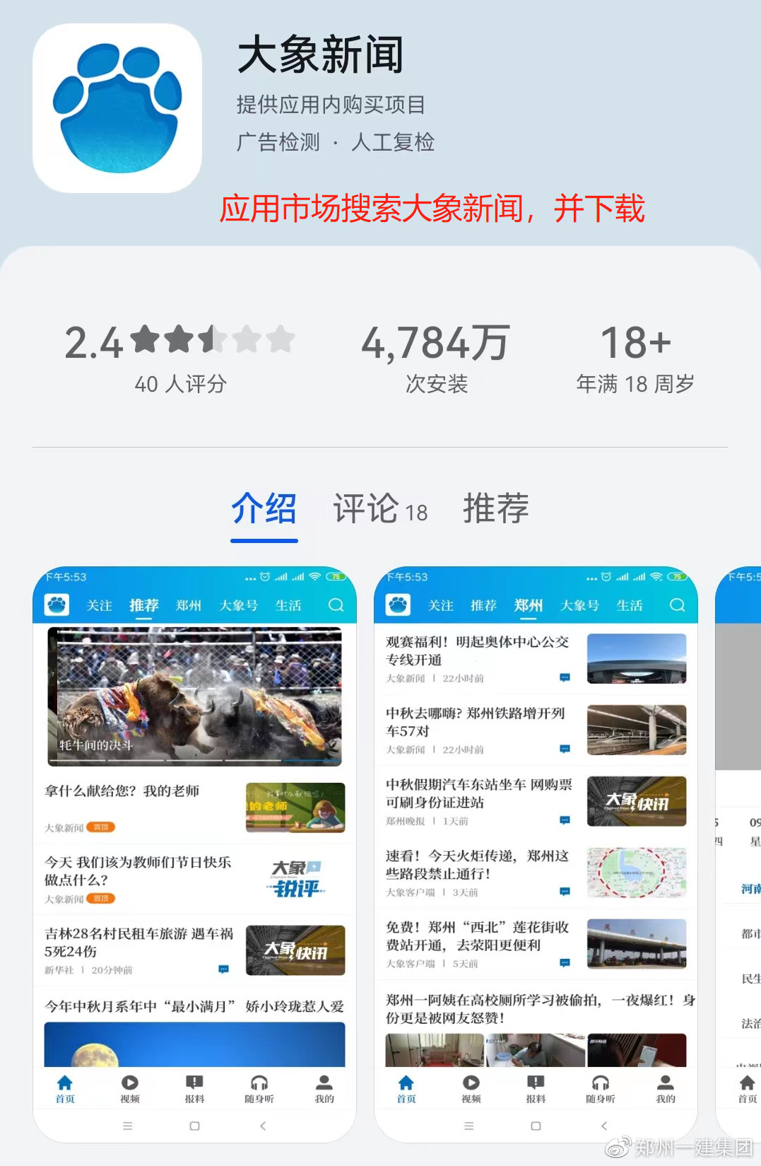 大象最新資訊,啟程探索自然美景,尋找內心平和之地