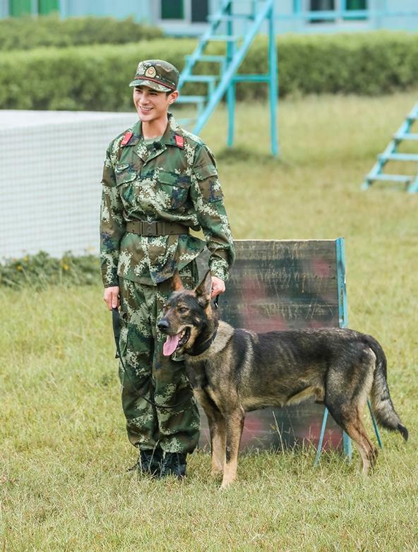 神犬奇兵演員,背景、影響力與時代地位探索