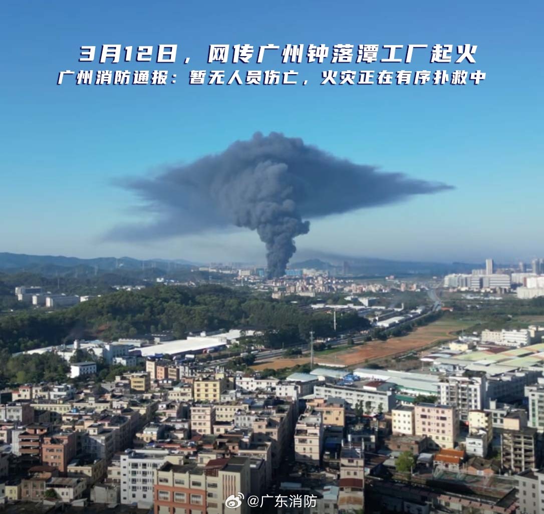 端州火災最新,火災現場中的溫情故事