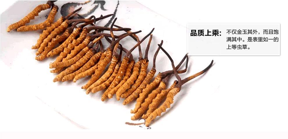 那曲蟲草最新價格解析,市場走勢與影響因素深度探討