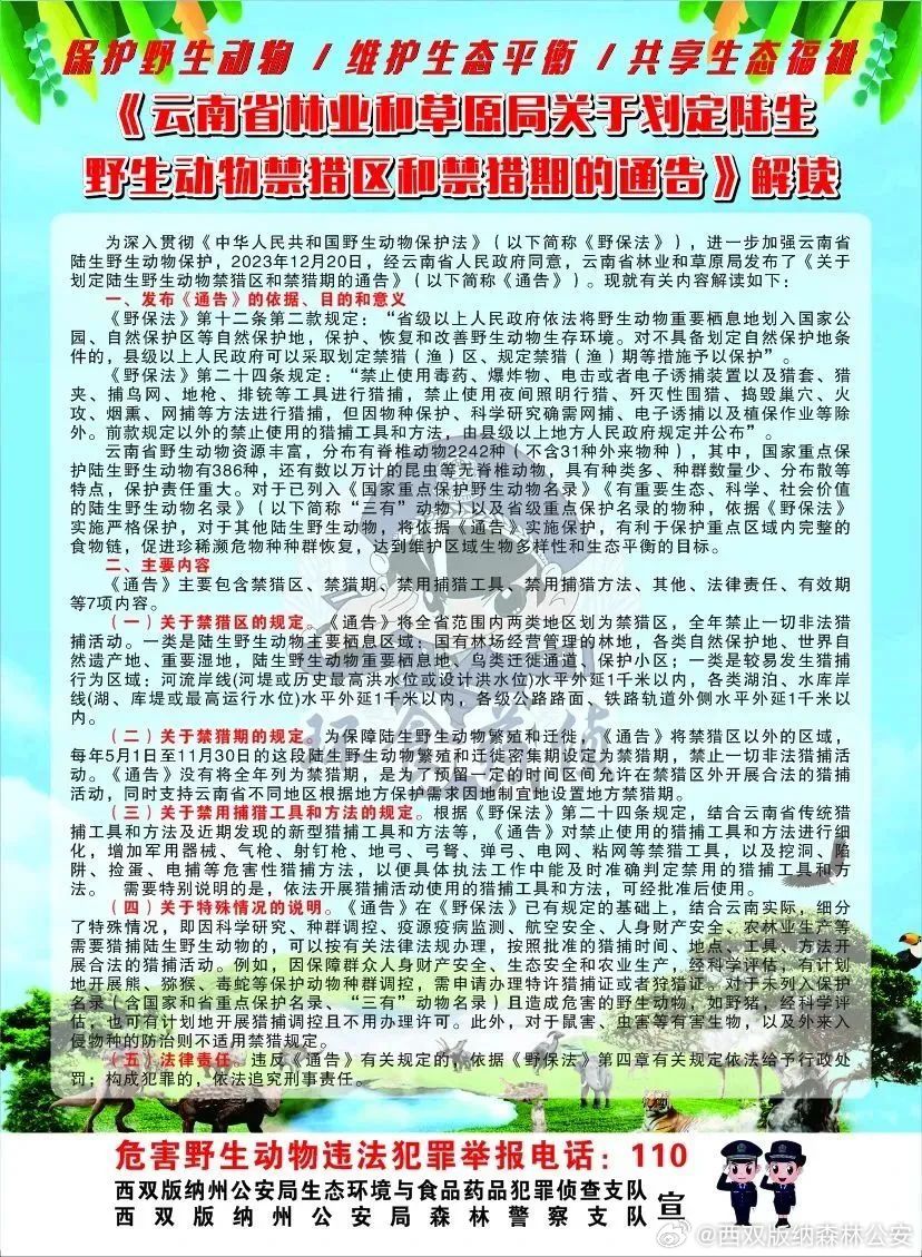 最新野生法,共筑自然生態(tài)和諧家園的保護措施