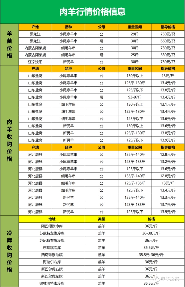 羊苗最新價格,探尋內心寧靜之旅