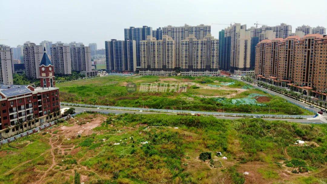 衡陽最新土拍動態及深度分析