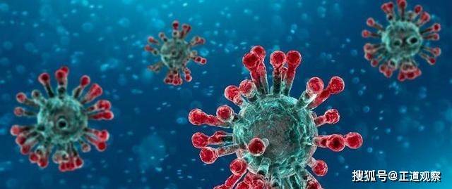 最新病毒數字概覽,詳細步驟指南與應對策略