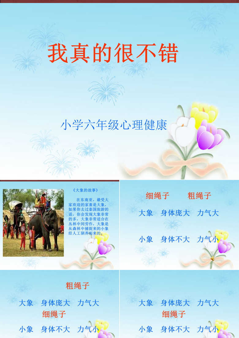 最新班會課件,溫馨有趣的日常故事分享