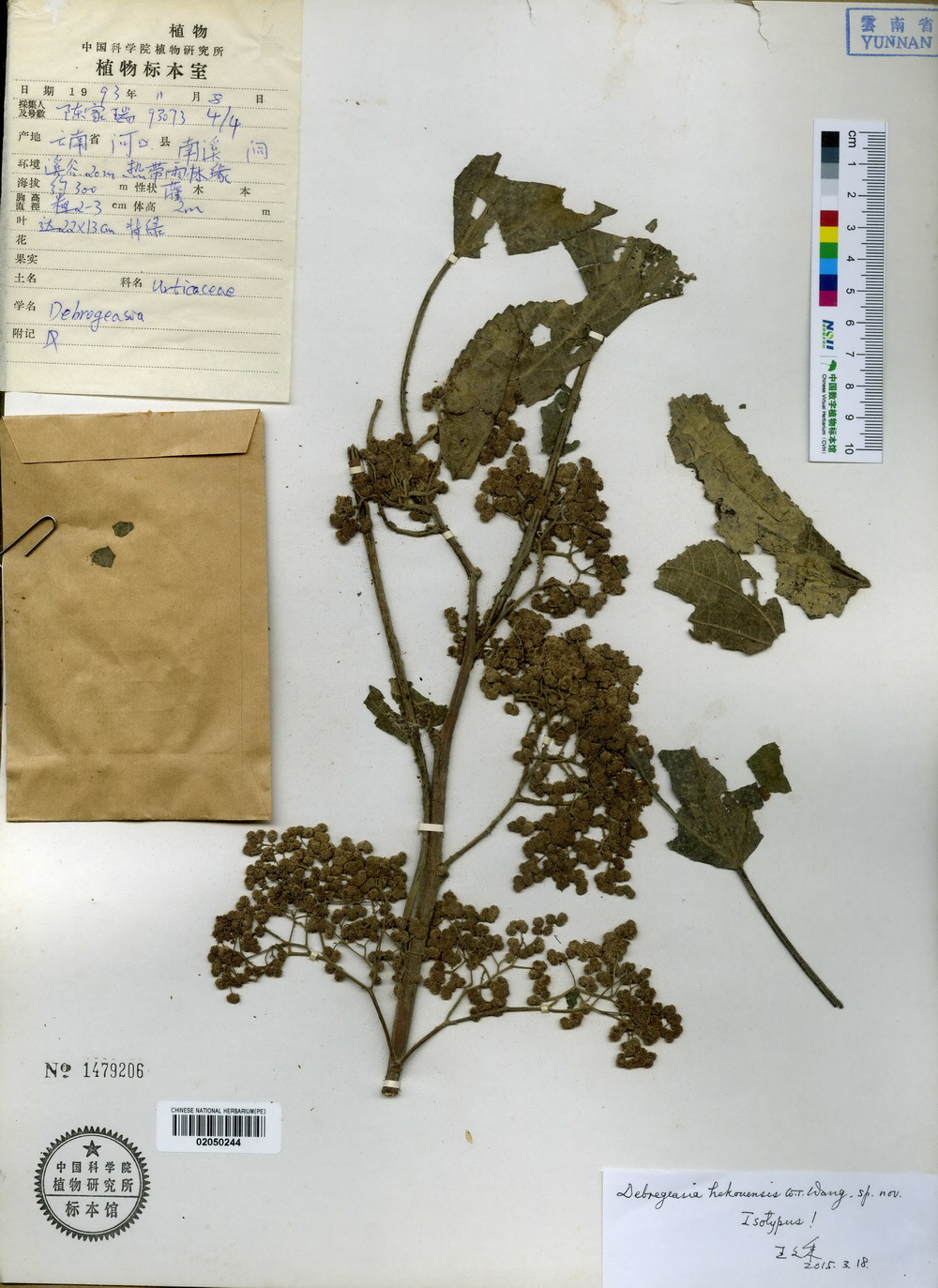 最新水麻皮,時(shí)尚新潮的材質(zhì)首選