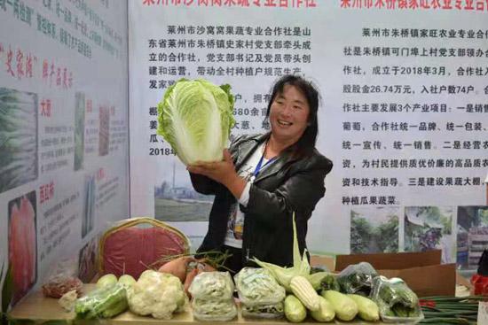 最新豐收歌,快樂的農(nóng)場生活旋律