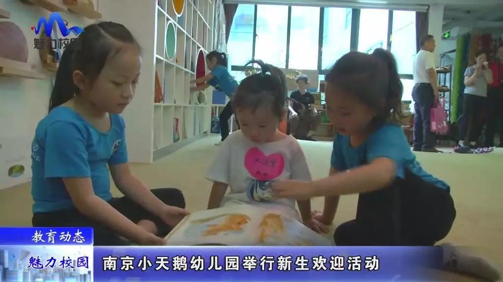 小天鵝最新動態,創新科技引領未來發展