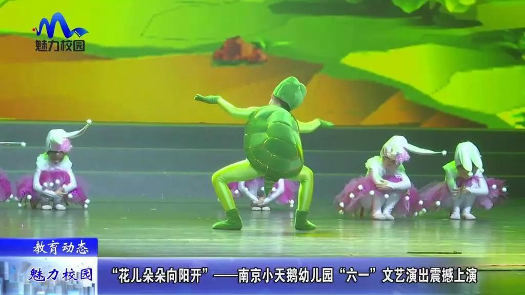 小天鵝最新動態,創新科技引領未來發展