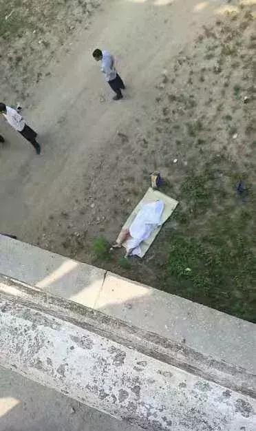 學生最新事件,友誼的魔法課堂揭秘