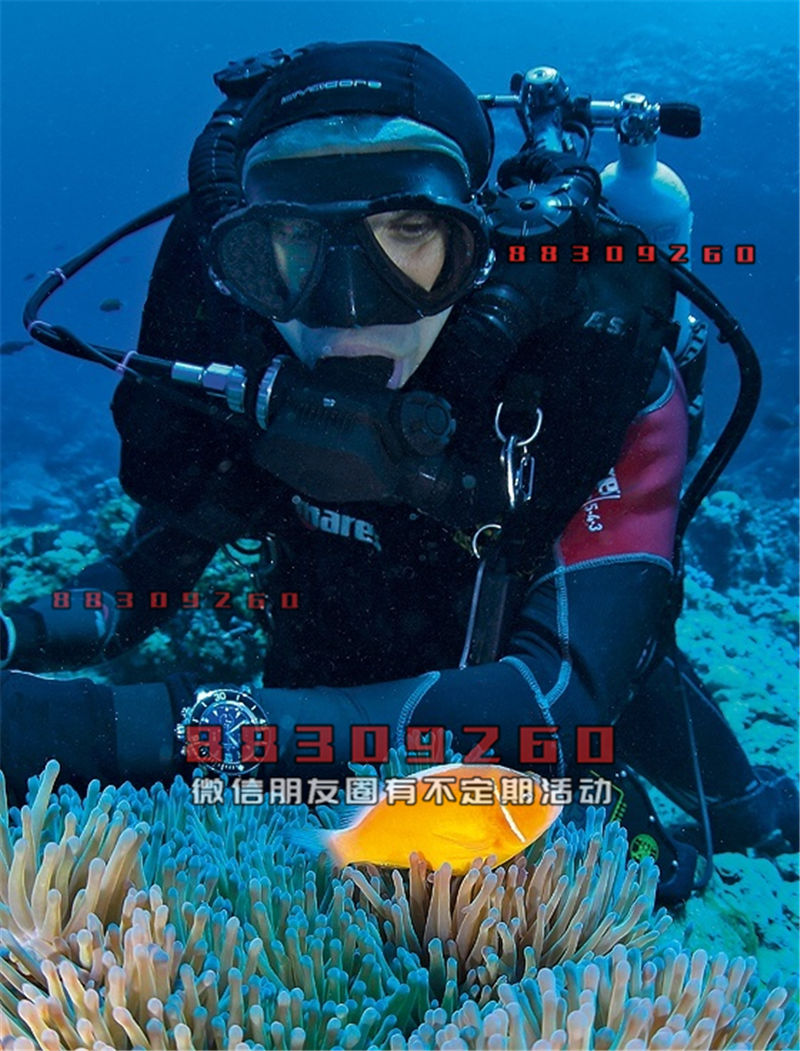 探索未來水下世界的最新型潛水技術