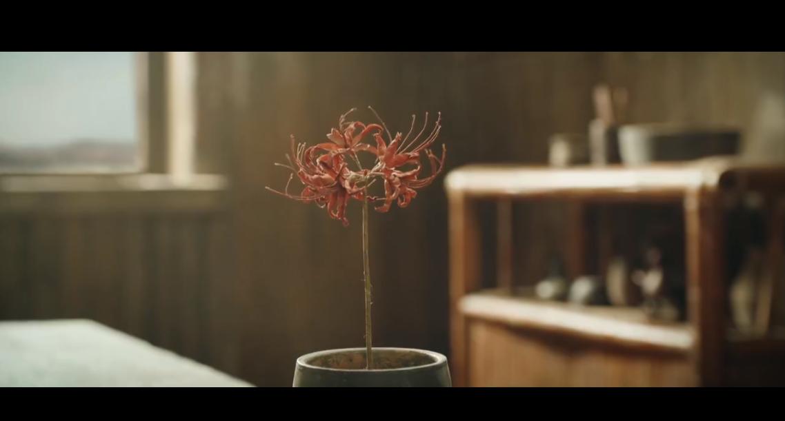 最新電影傷感與科技融合,觸動(dòng)心靈的科技產(chǎn)品體驗(yàn)之旅