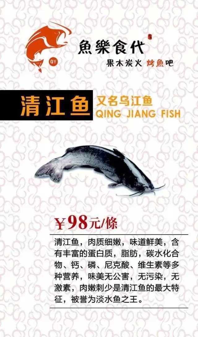 近江水產最新動態,魚趣與友情的溫馨日常