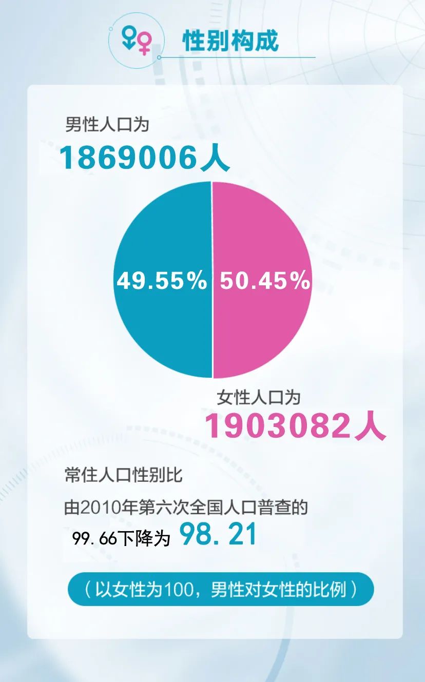 探尋濮陽小巷獨特風味,最新人口數據揭秘