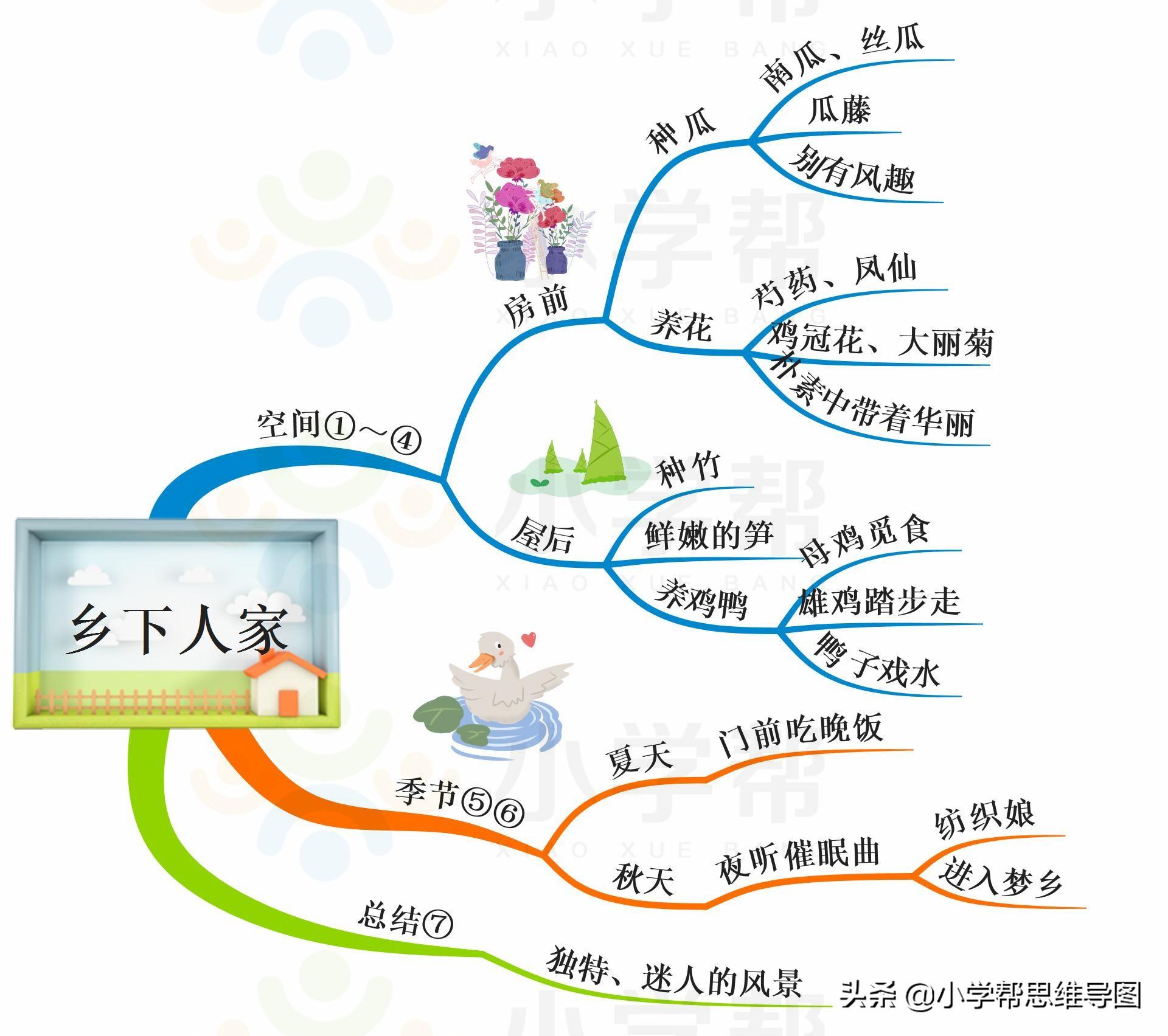 桃花最新版,綻放新時代的獨特魅力