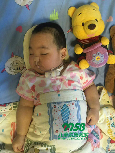 劉辛怡最新動態,聚焦個人成長與成就旅程