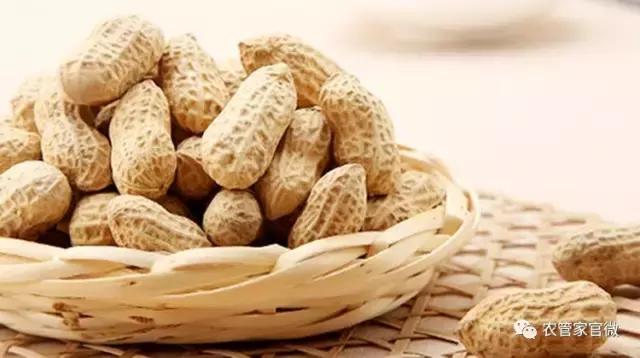 今日花生最新價,科技智能引領(lǐng)生活未來新篇章