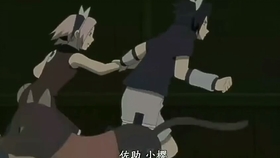 最新佐櫻文,小巷深處的獨特風味情感故事