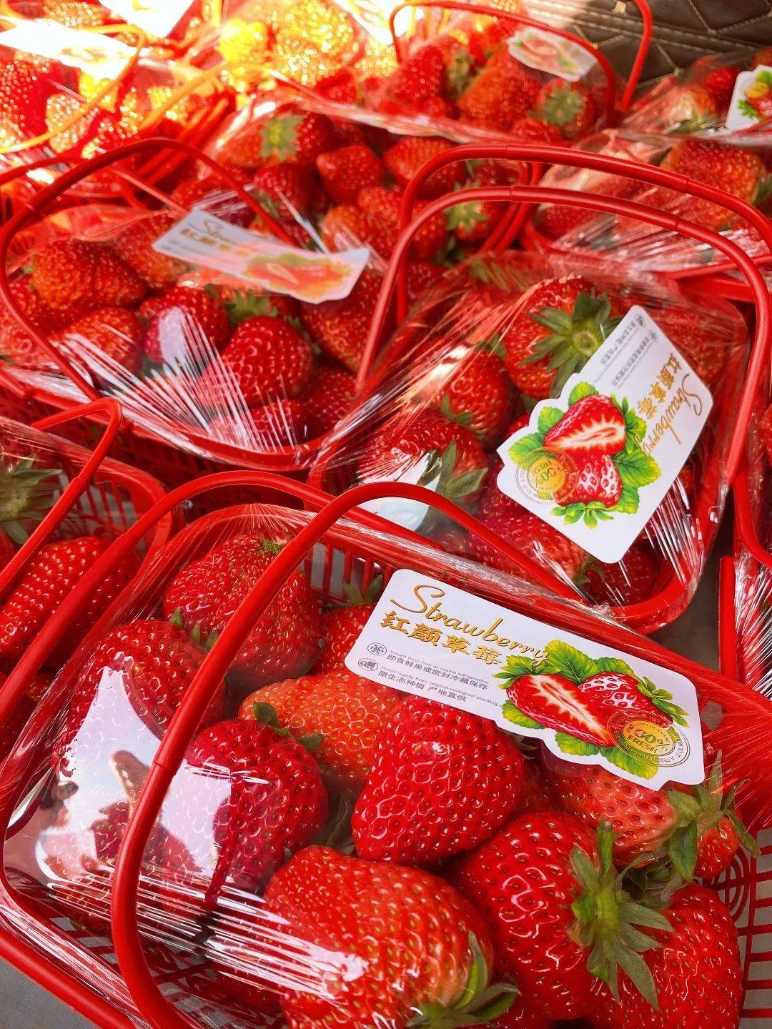 輕松獲取最新資訊與技能的學習指南,淘最新鮮秘籍大揭秘