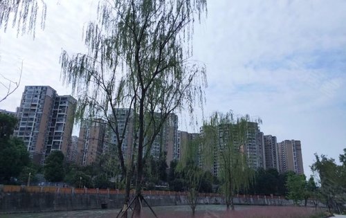 蜀鎮最新動態引領科技潮流重塑未來生活體驗新篇章