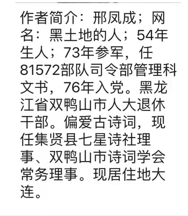 解鳳領最新,小巷中的美食秘境