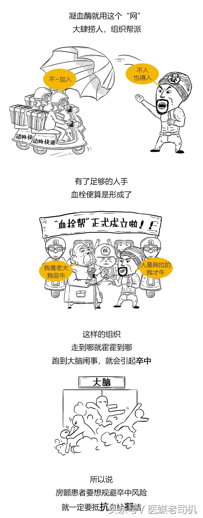 抗凝最新藥物解析與觀點闡述,最新藥物介紹及功能解析