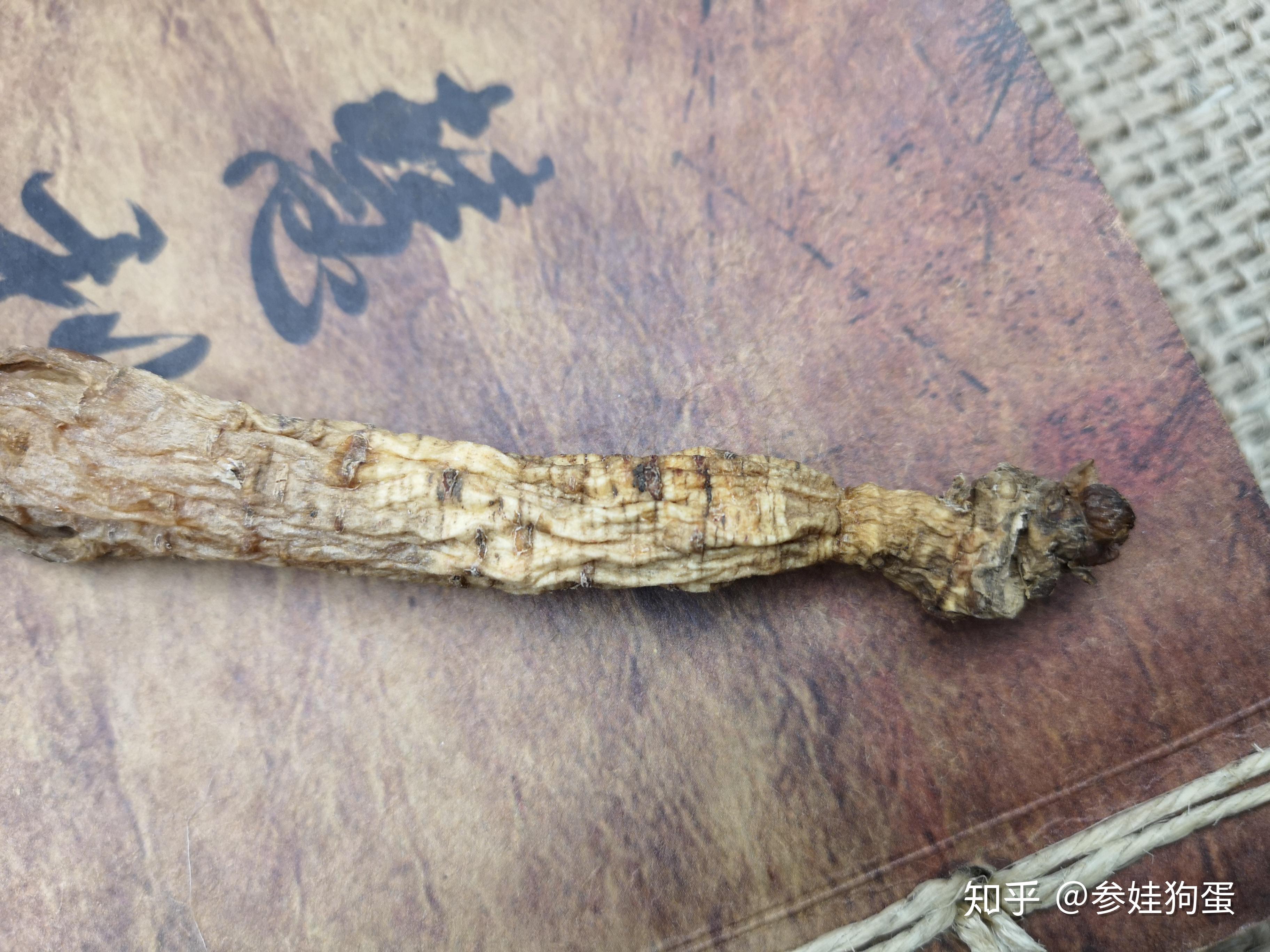 紅參最新標準全面解析,從入門到精通的指南